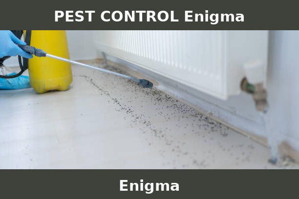 PEST CONTROL Enigma